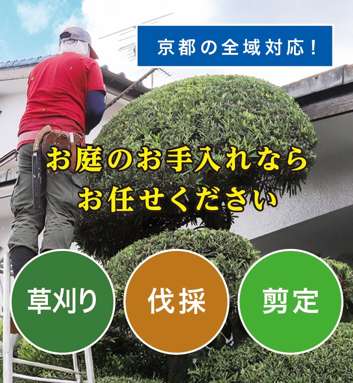 京丹後市で草刈り・剪定・伐採なら「お庭の大将」 京丹後市で草刈り・剪定・伐採なら「お庭の大将」